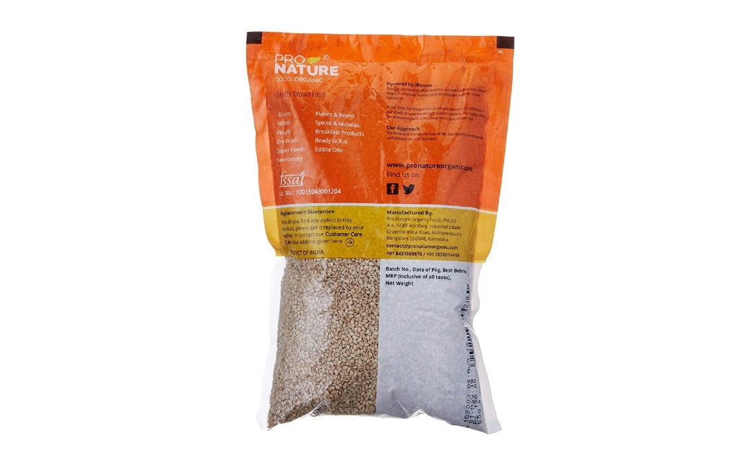 Pro Nature Organic Saunf (Fennel)    Pack  250 grams